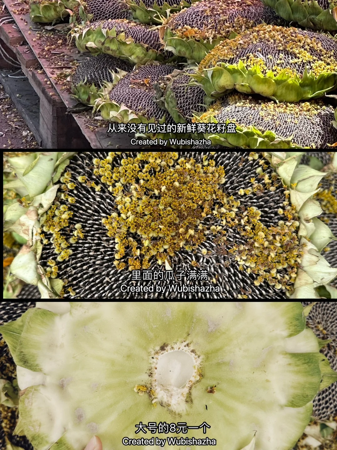 Ȱ??½ɹˮֱӱһ밡