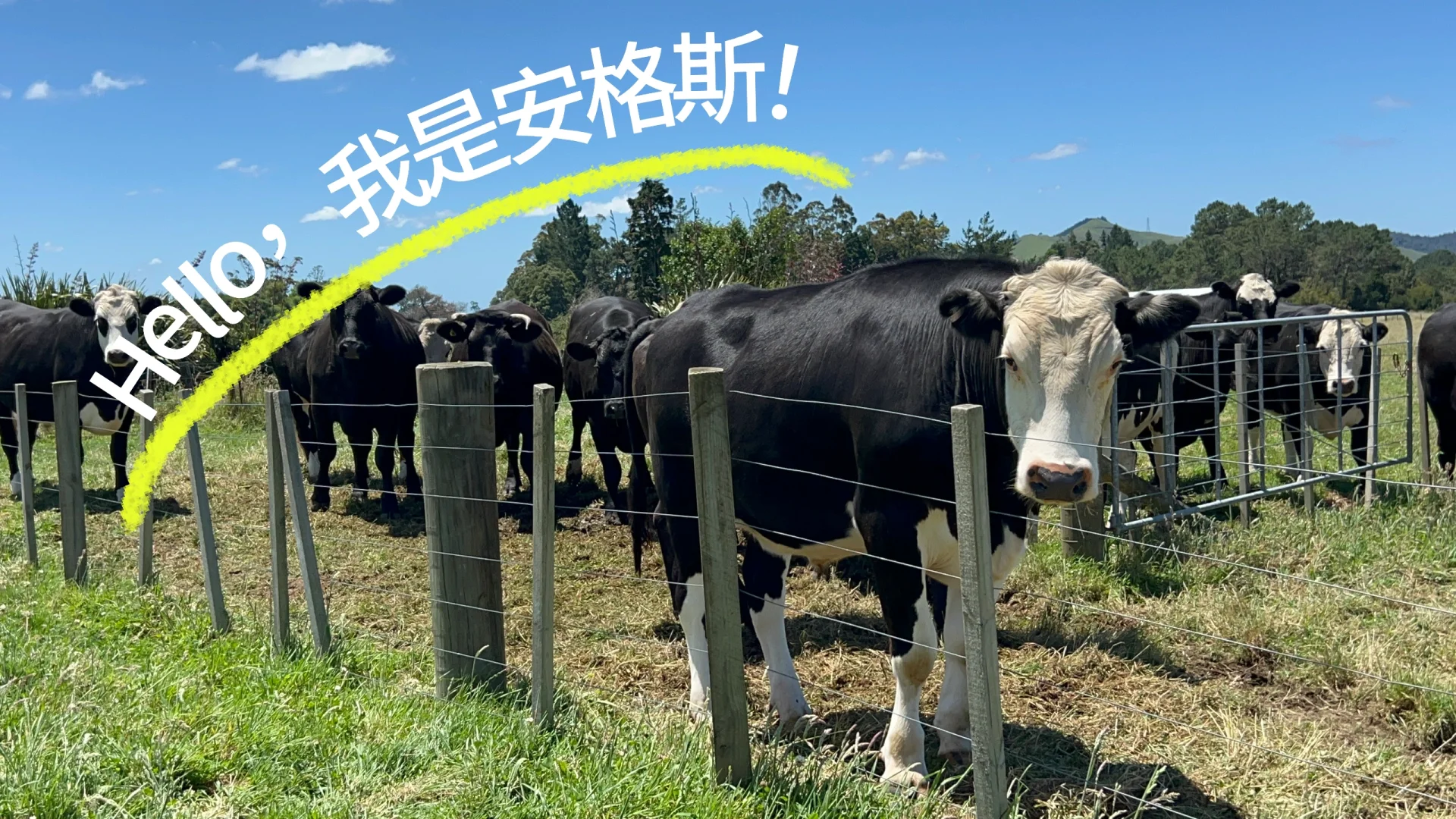ͨͥβǮ޿磿ũ