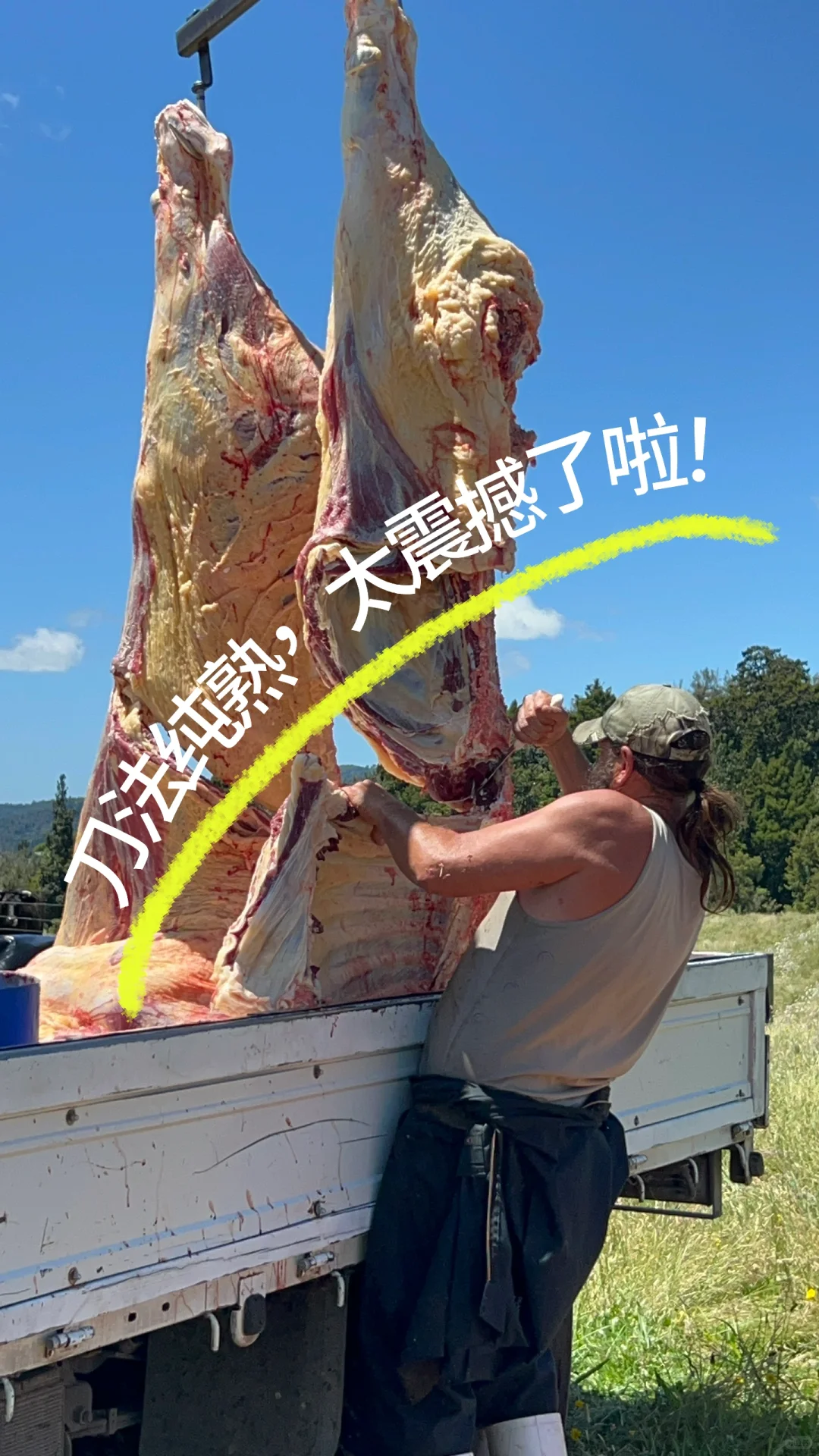 ͨͥβǮ޿磿ũ