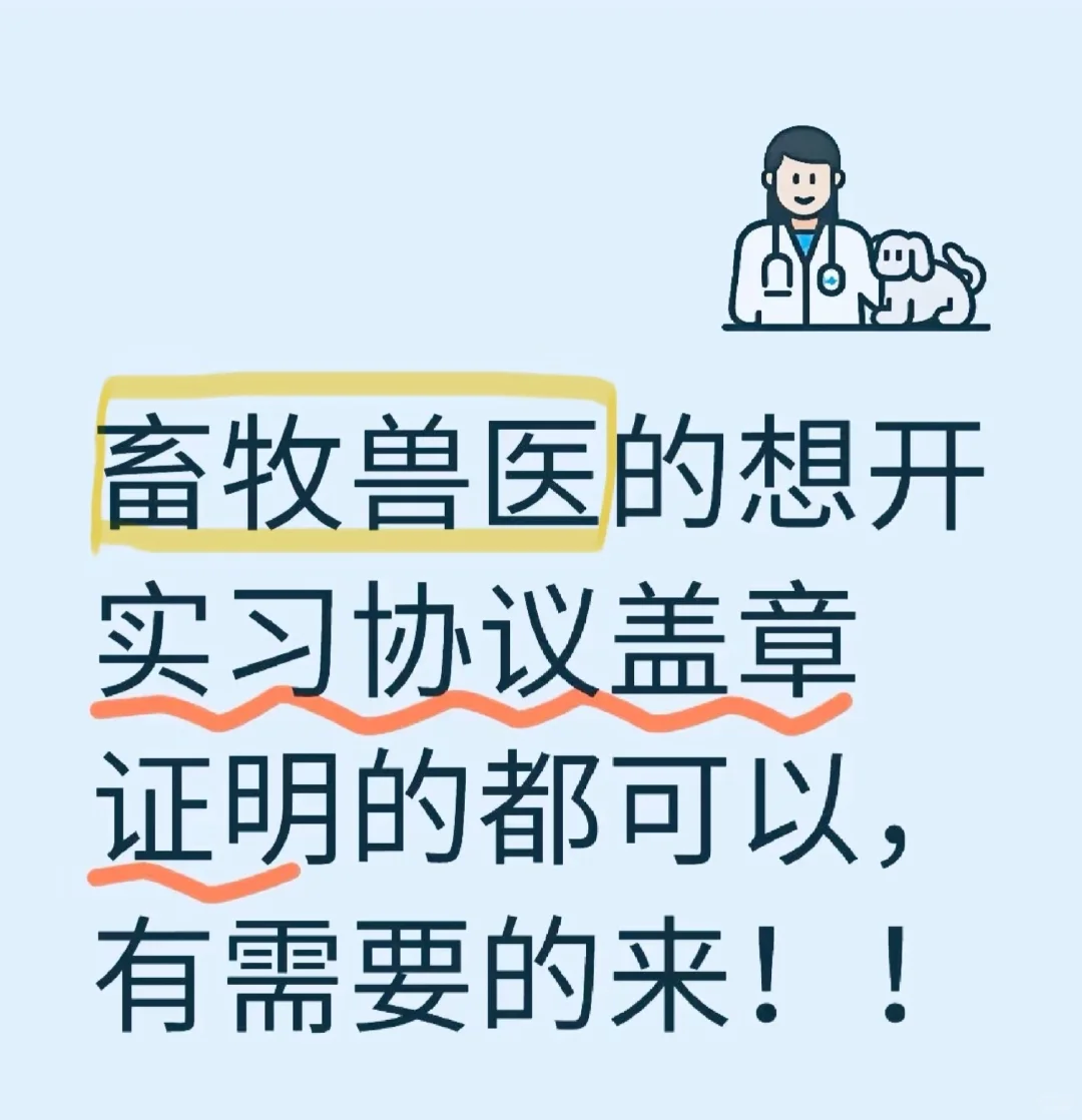 ֻʵϰ