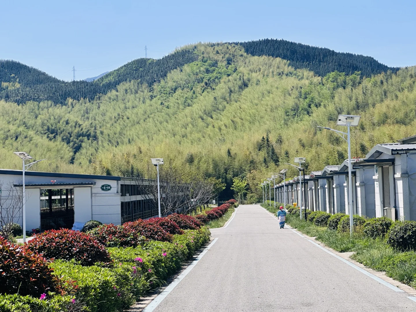 全国最大的湖羊养殖基地