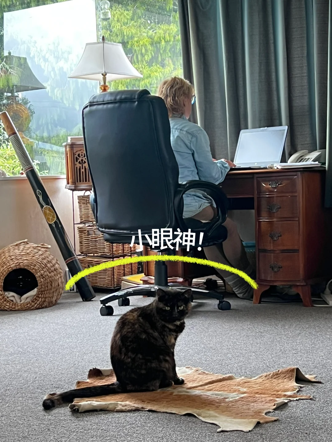 ͨͥβǮ޿磿ũ