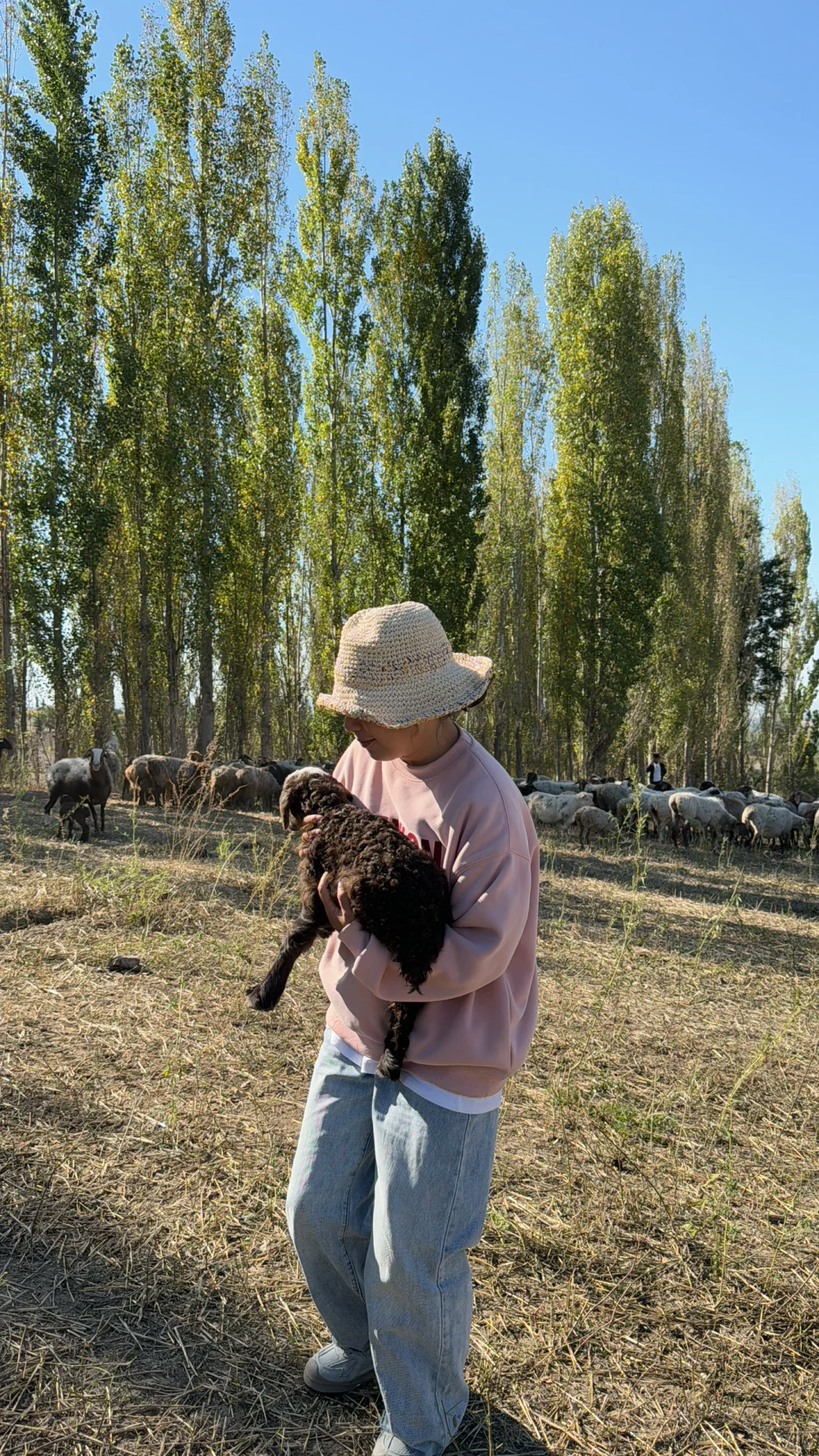 ȥ˸