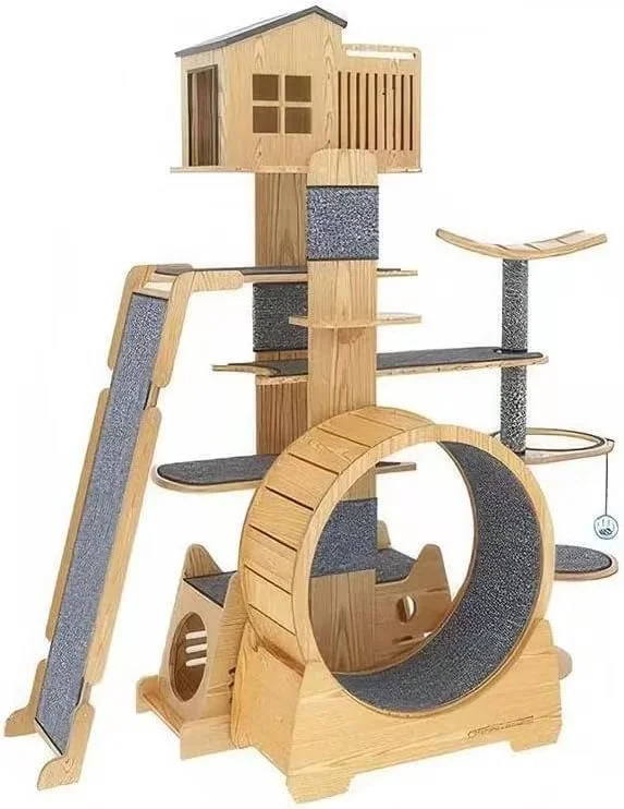 ? ġ߶ˣ ? ?