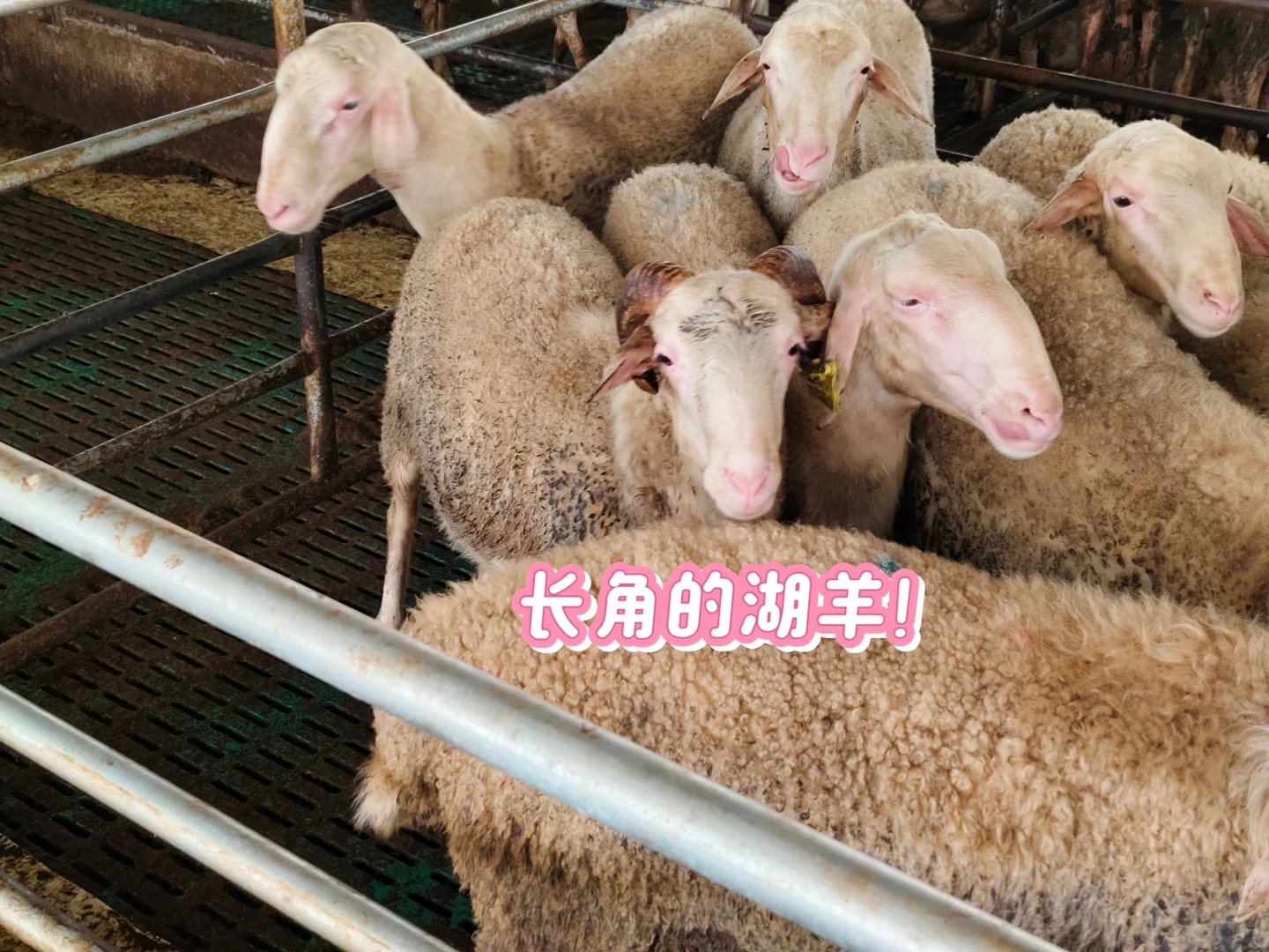 ̻˵ĺʵϰday1