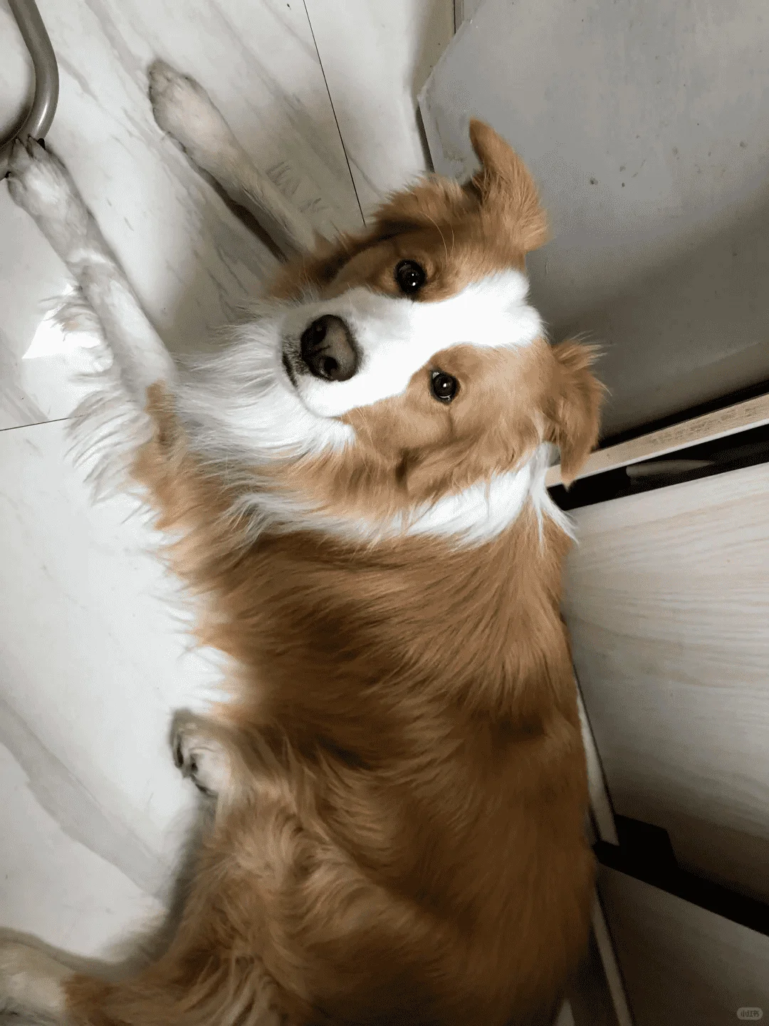 ģ˽ӪȻ