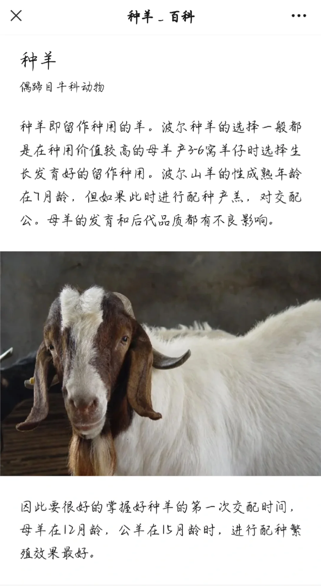 ѡ