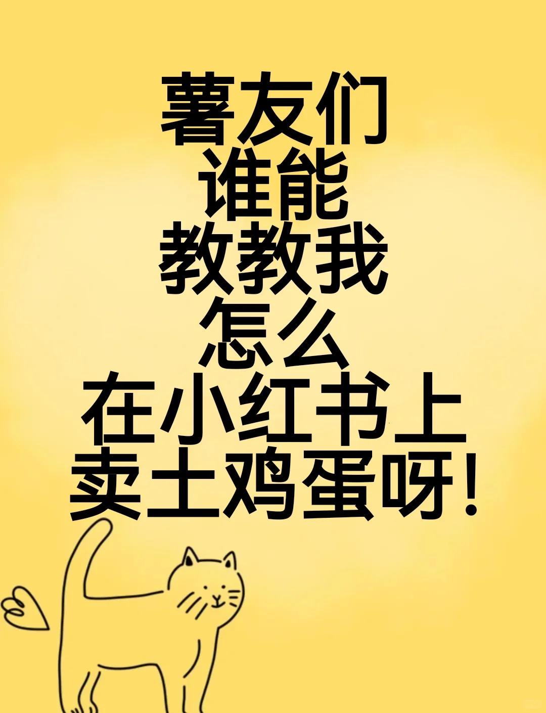 ֪ô졫