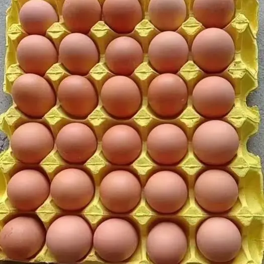 ɫ? ѡã