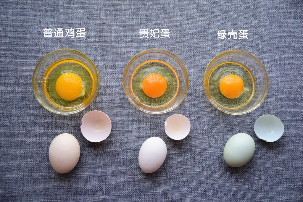 ɫ? ѡã