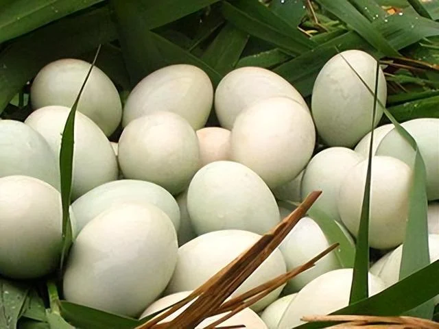 Ѽǧѡ