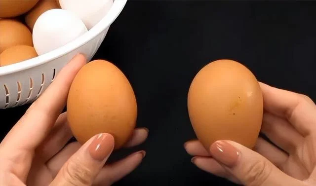 ƤƤӪ첻
