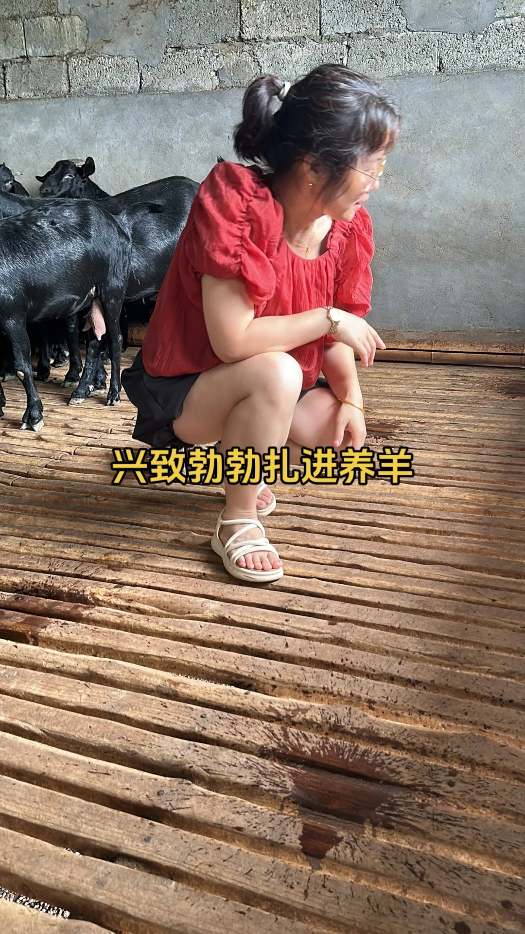 Ȼ볡˲ȹѪ