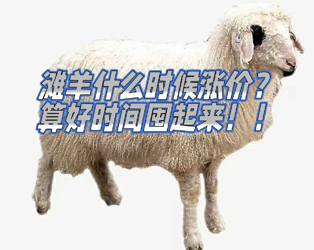 ʲôʱԶ⣡