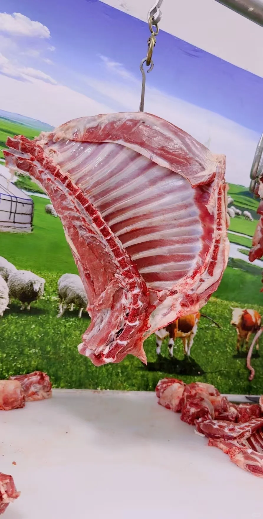 ʳģõ