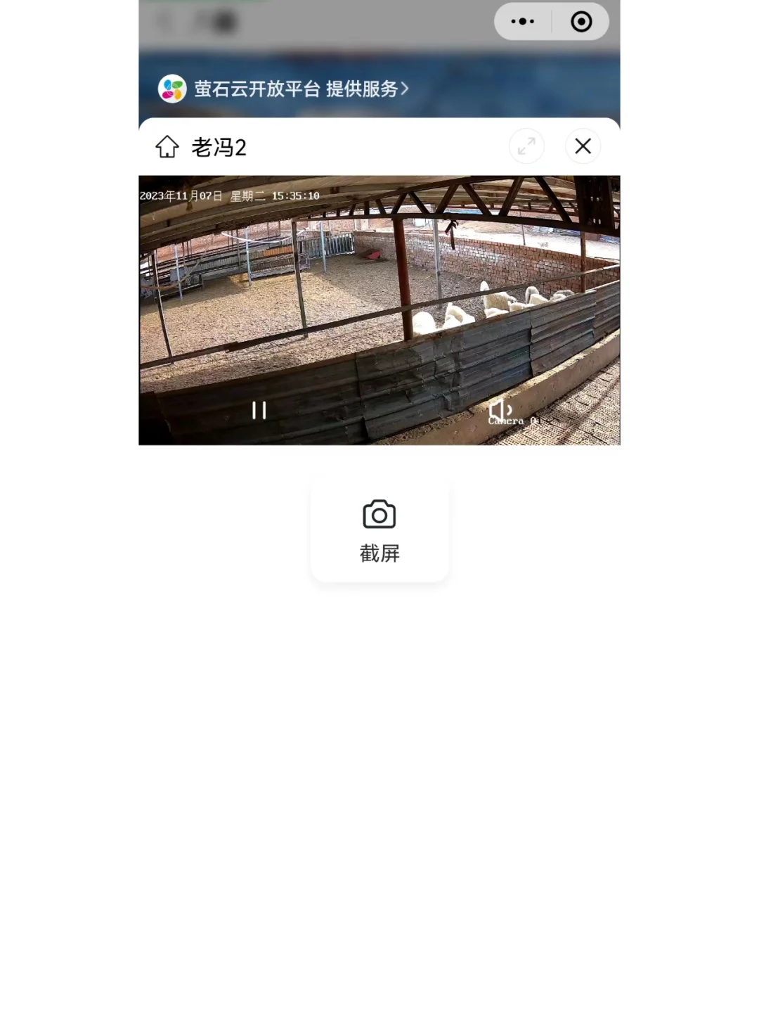 我在手机里养了只羊