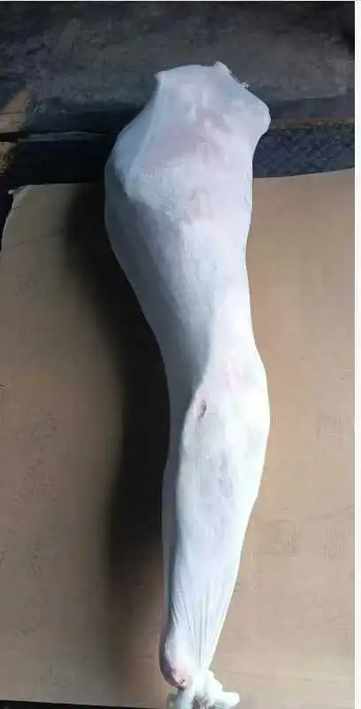 686