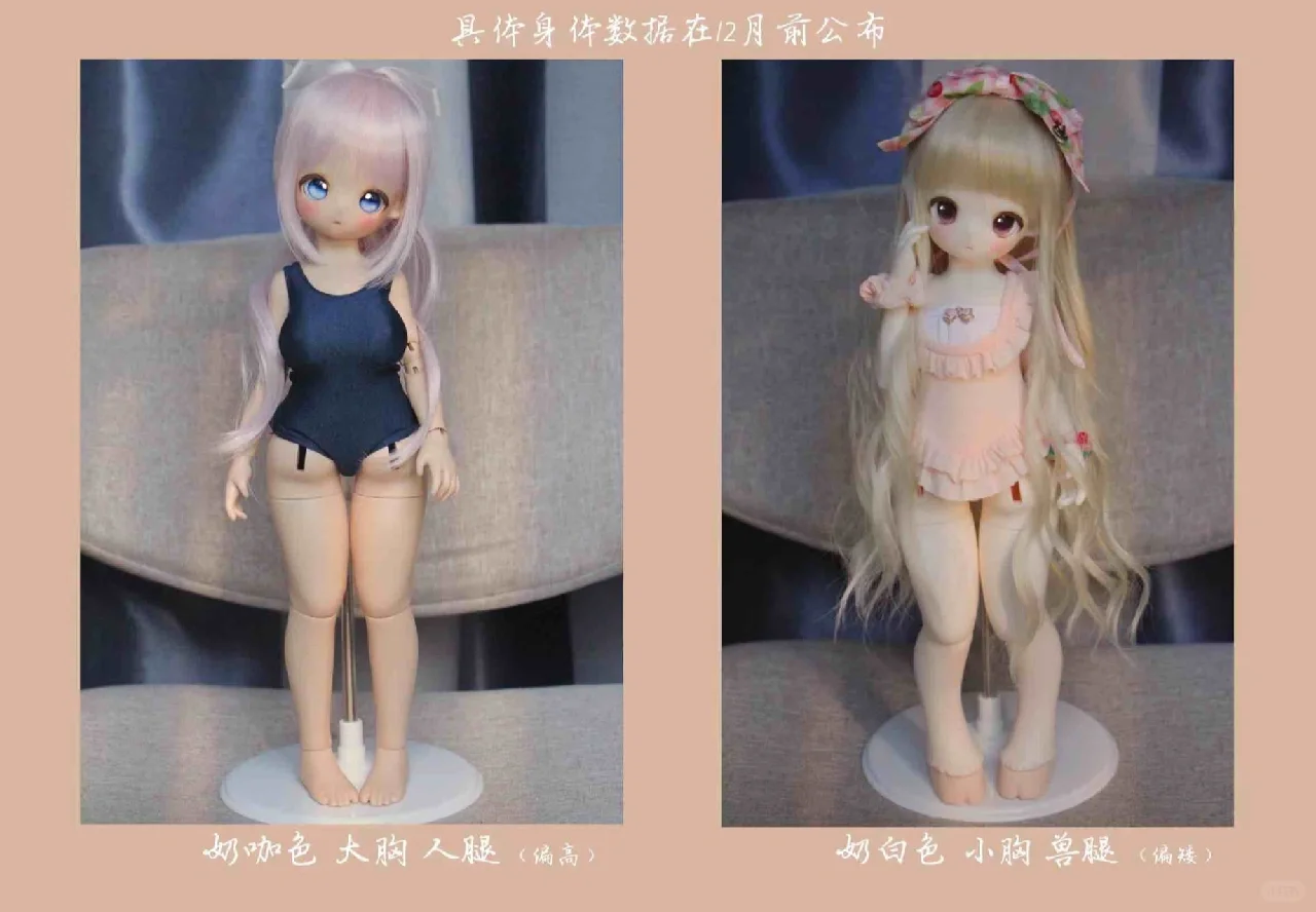 【芝士巨巨羊】开仓啦?就在今晚??