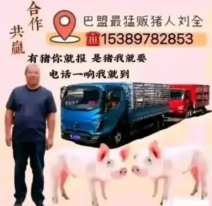 ȫ?