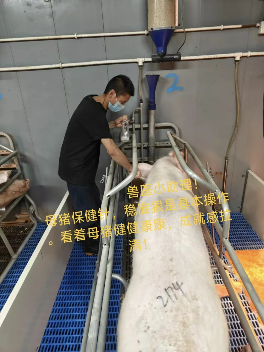޲ԱǺòʺ٣