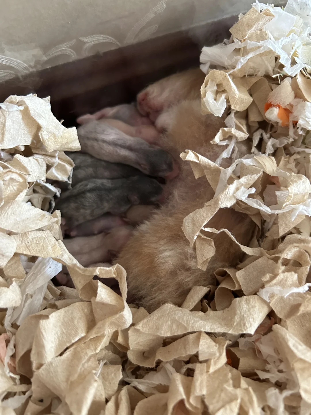 úڵĺڲ