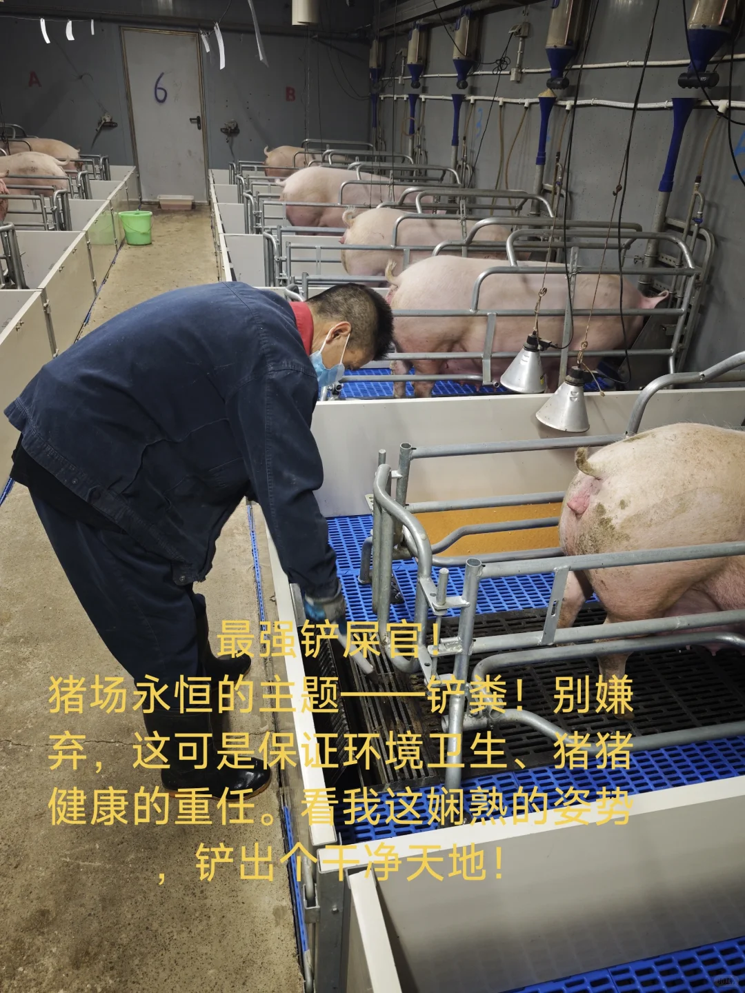 ޲ԱǺòʺ٣