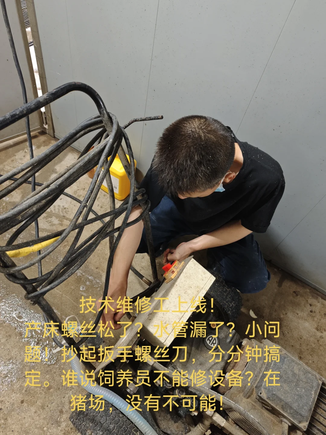 ޲ԱǺòʺ٣