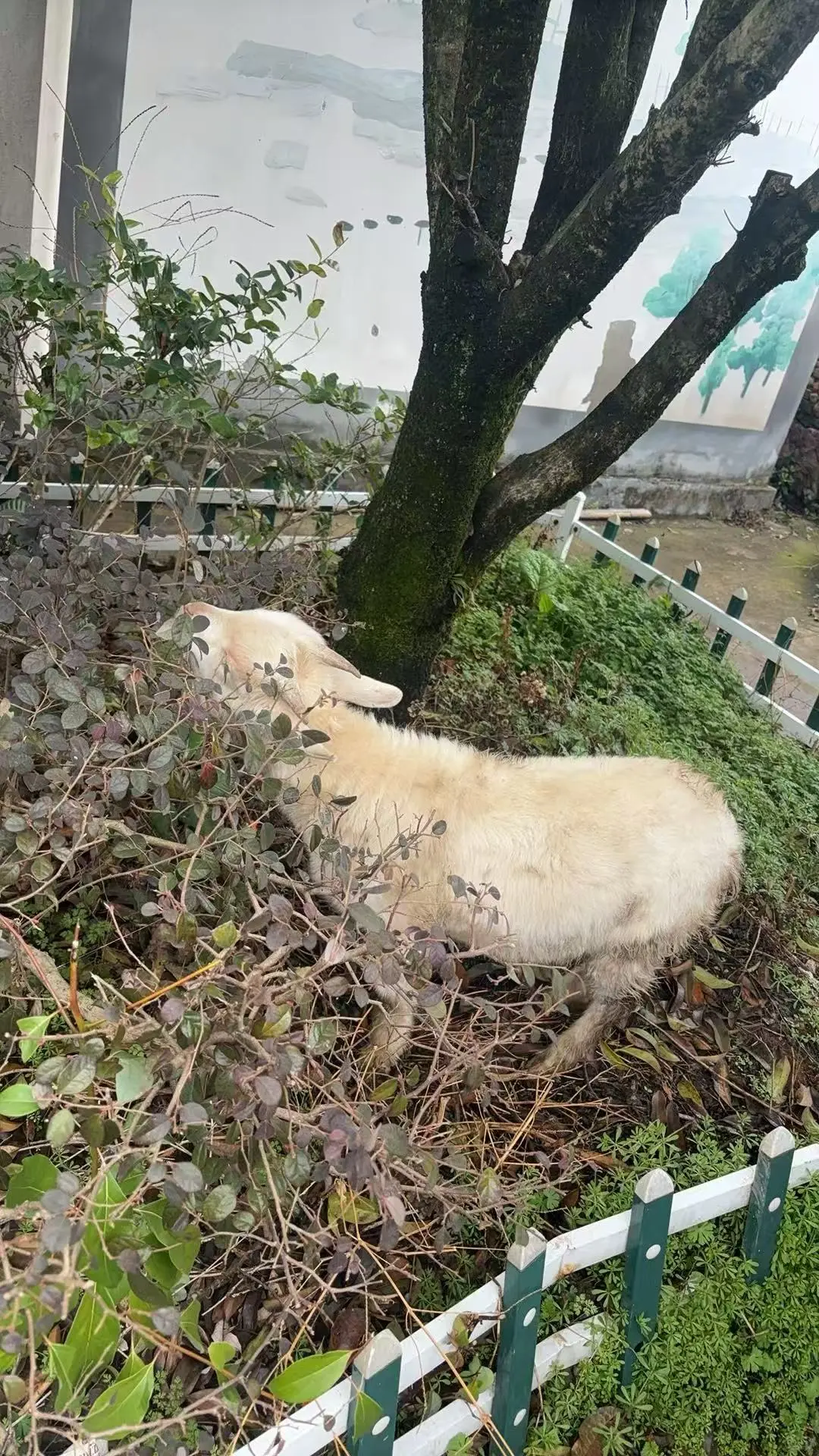 ɢ㣬Ե