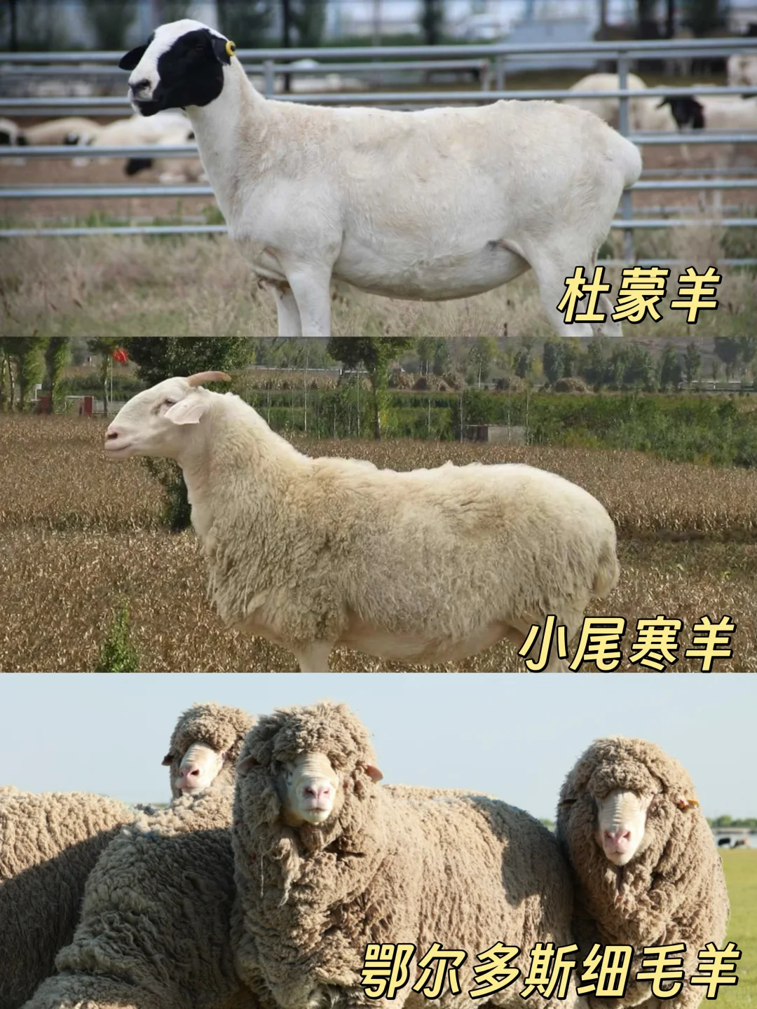 һ˽ⲻͬƷֵ?