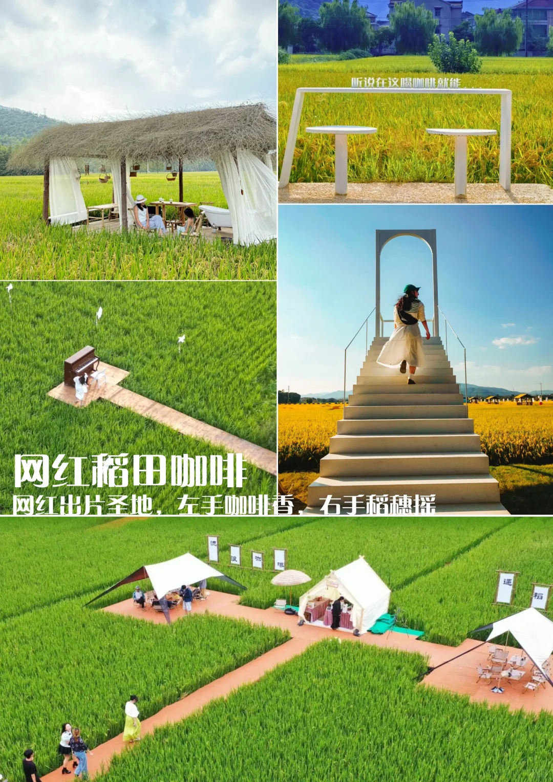 ũƽ | 150Ķĵι滮