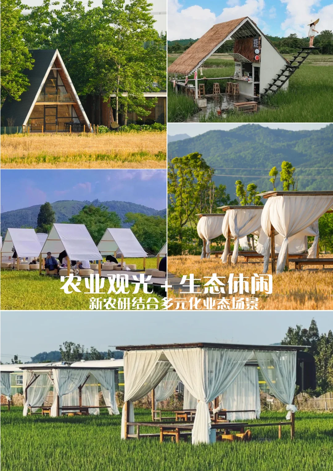 ũƽ | 150Ķĵι滮