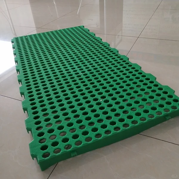100*50׷Ӻ©©ʺ