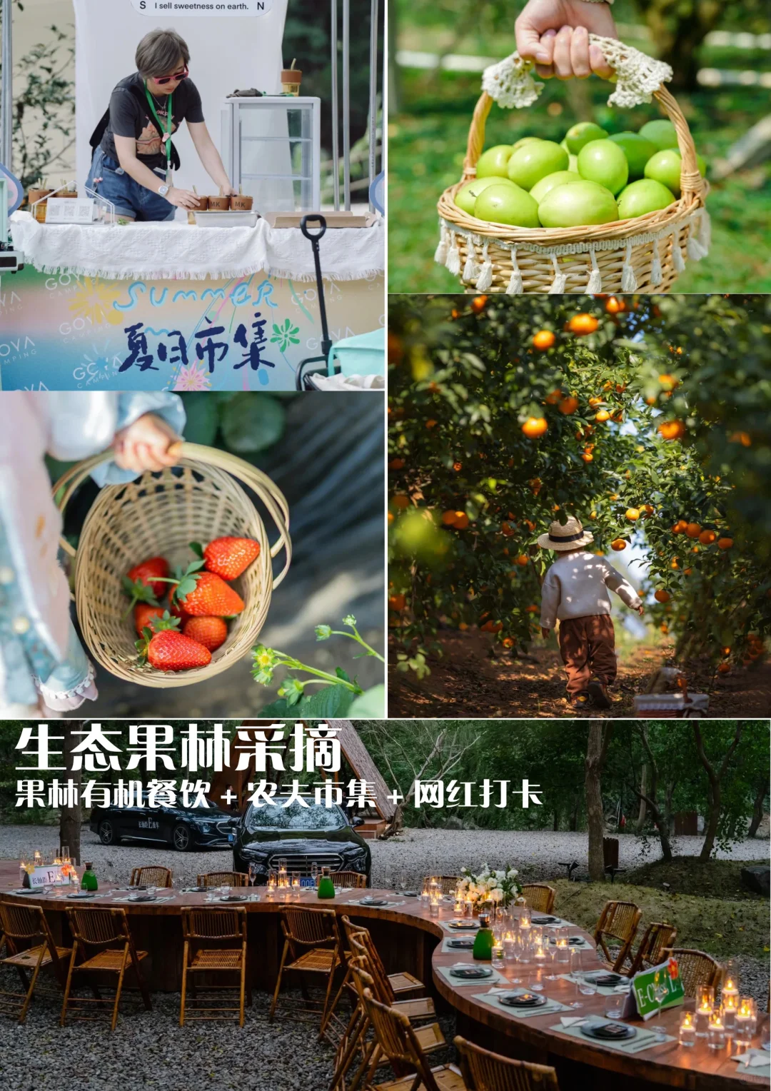 ũƽ | 150Ķĵι滮
