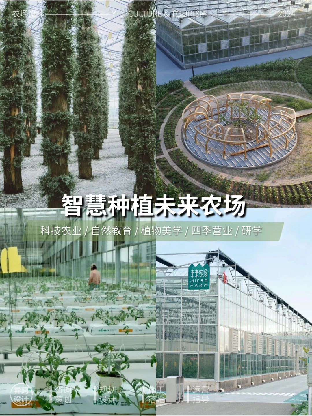 ũƵ20ѡ