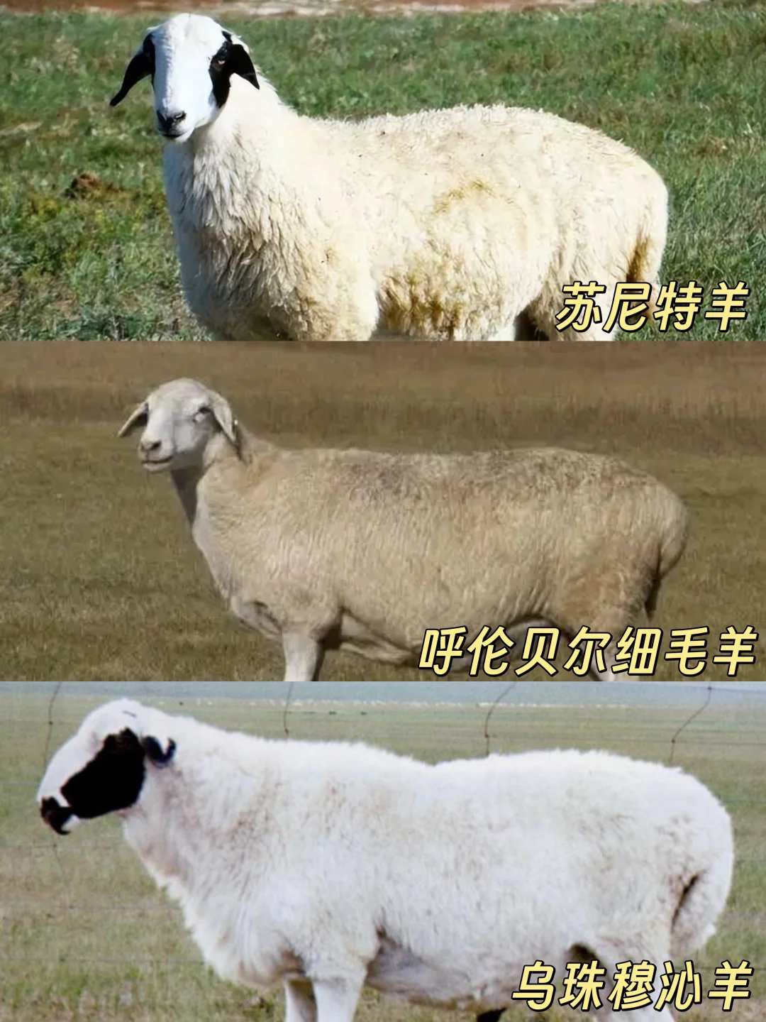 һ˽ⲻͬƷֵ?