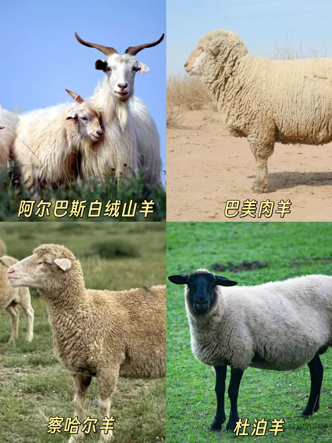 һ˽ⲻͬƷֵ?