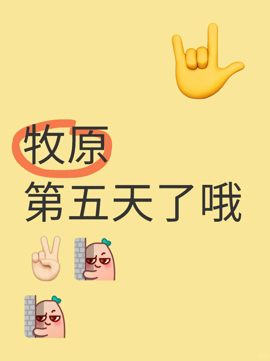 ԭŶ??[й۲