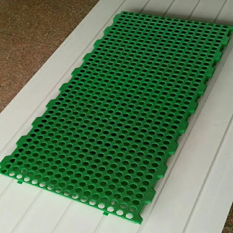 100*50׷Ӻ©©ʺ
