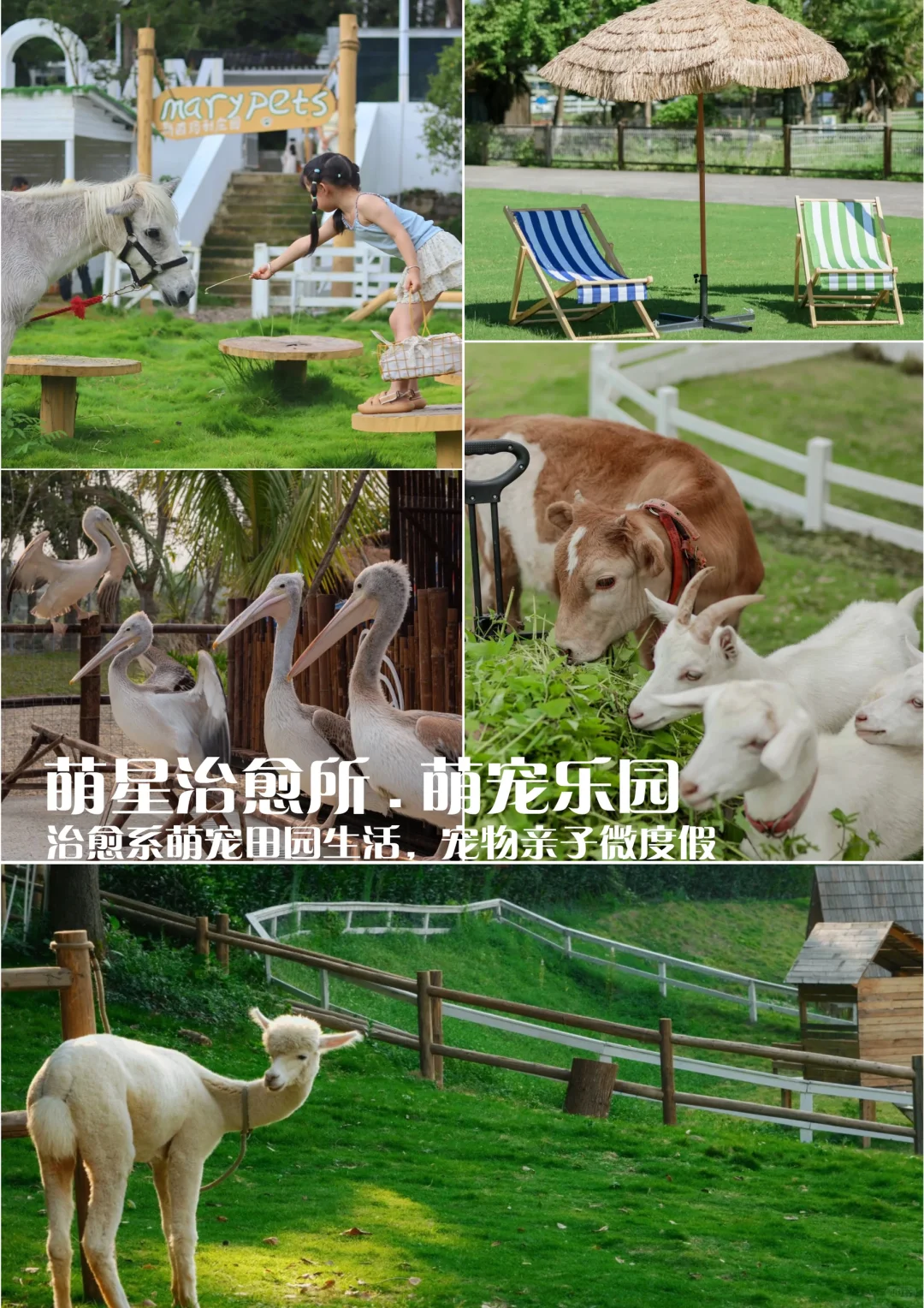 ũƽ | 150Ķĵι滮