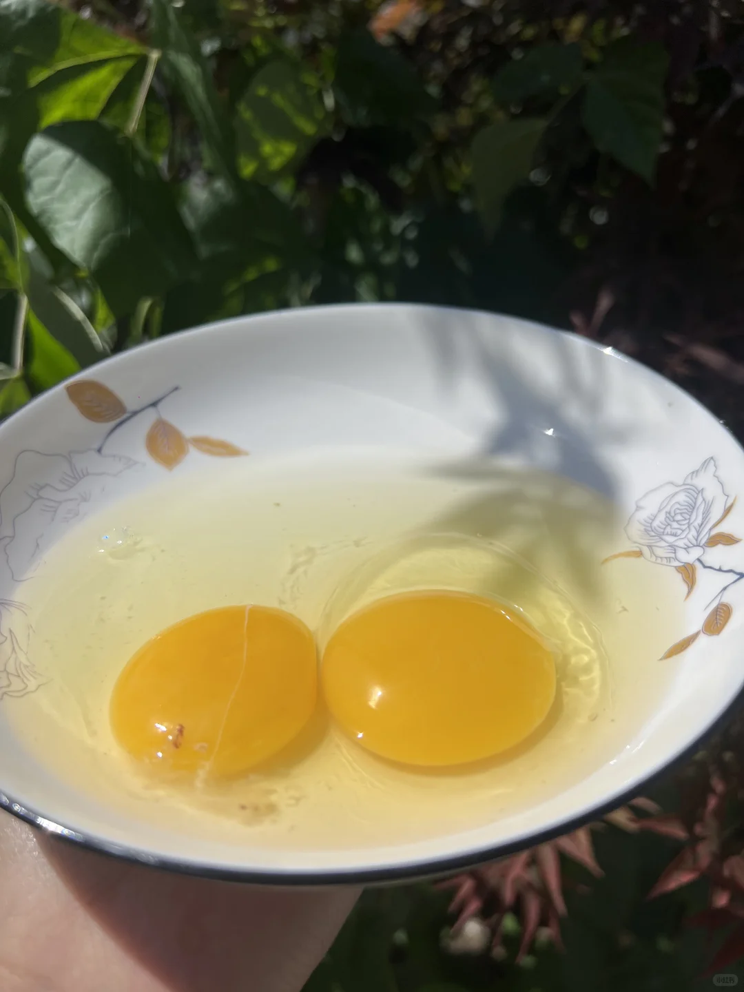 ũôģ