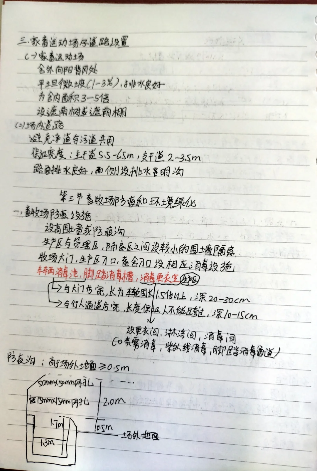 ѡַ벼