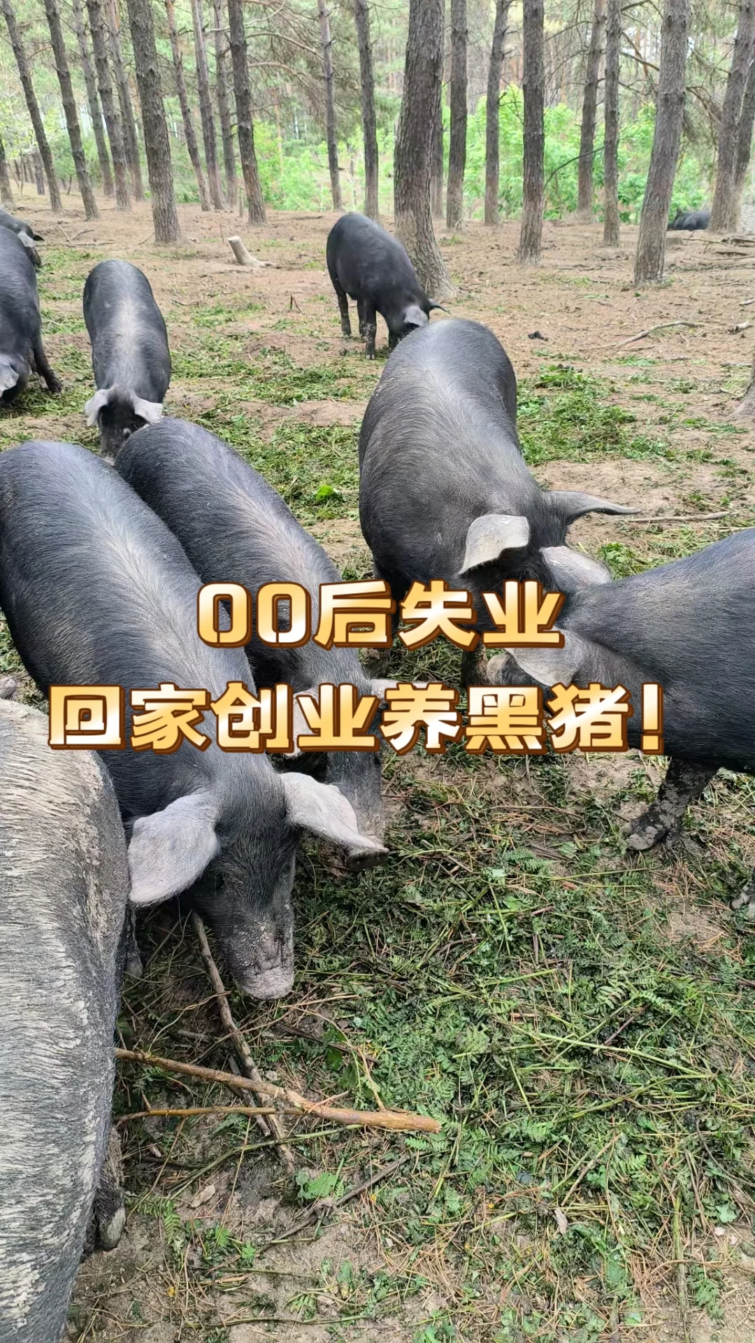 ʧҵؼңʵҲؼ