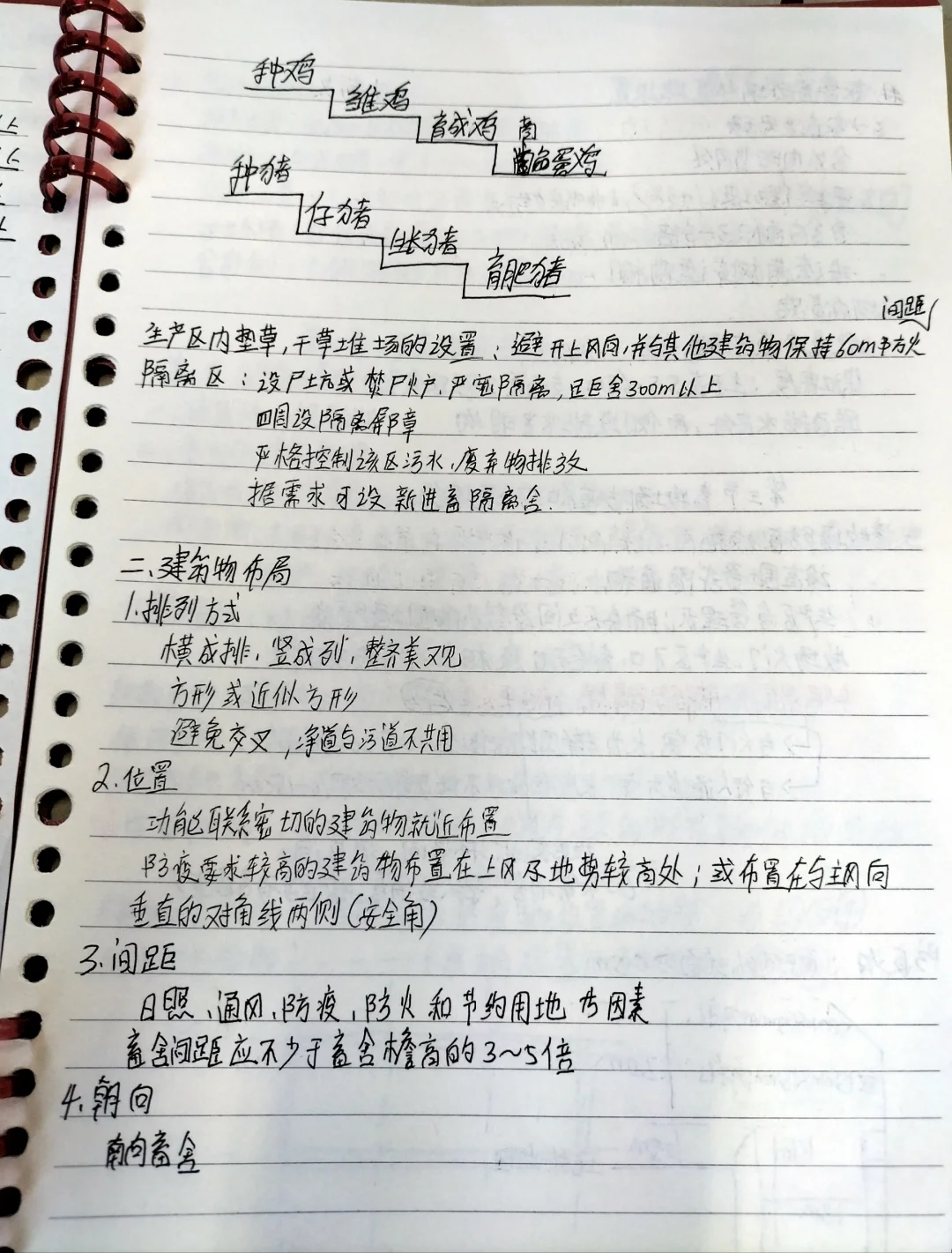 ѡַ벼