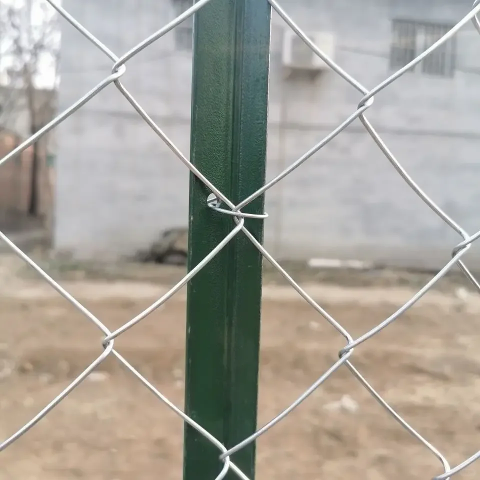 ֳ˿