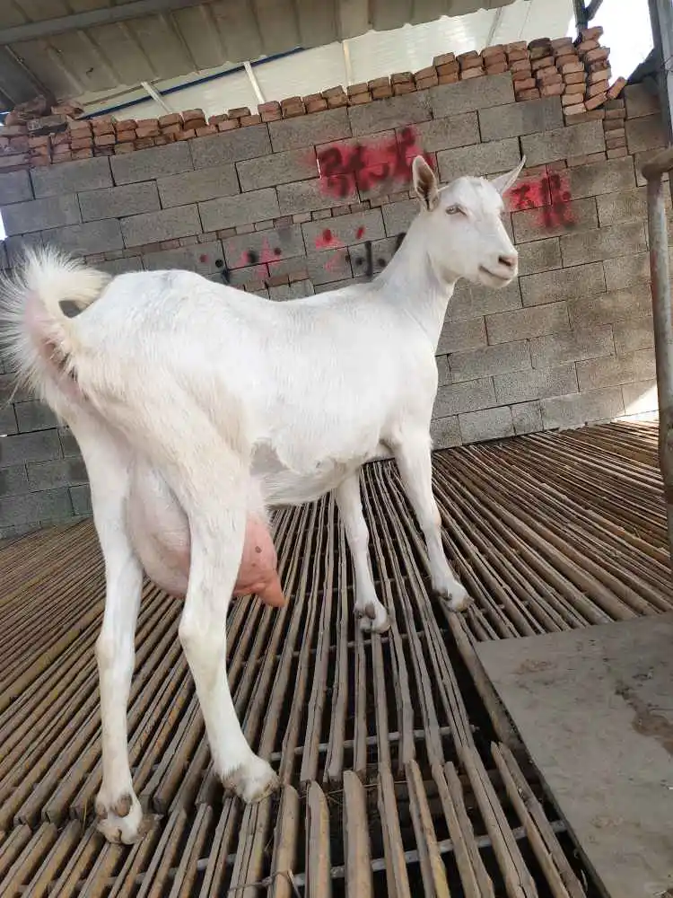 ĸ䲻ƣ3Ҫע⣡