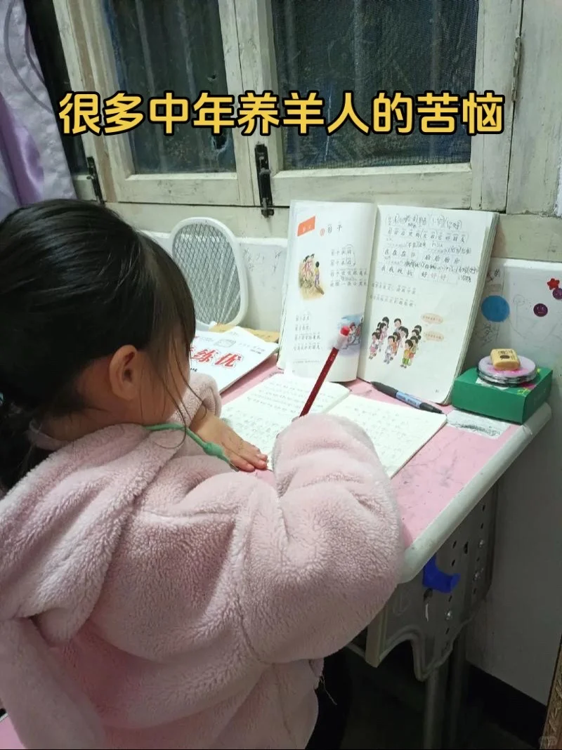 ˵꣺Ǯ͸ѧϰѡĸ