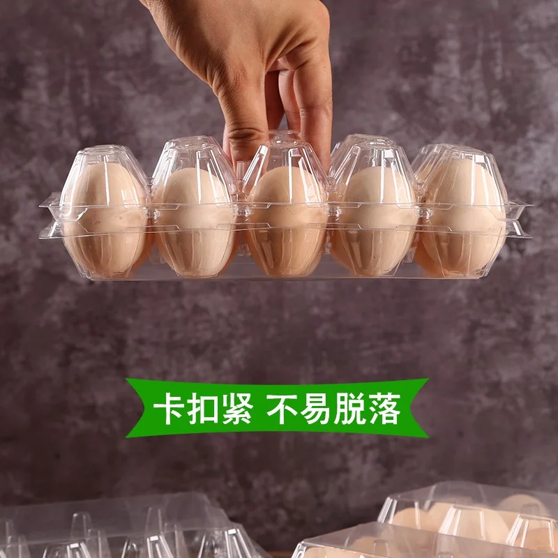 һԼ̫ˣ¶Ӫر