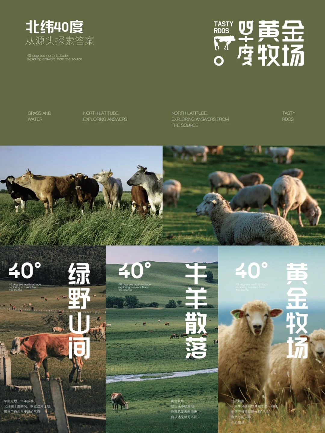 ԭ|γ40ķ磬