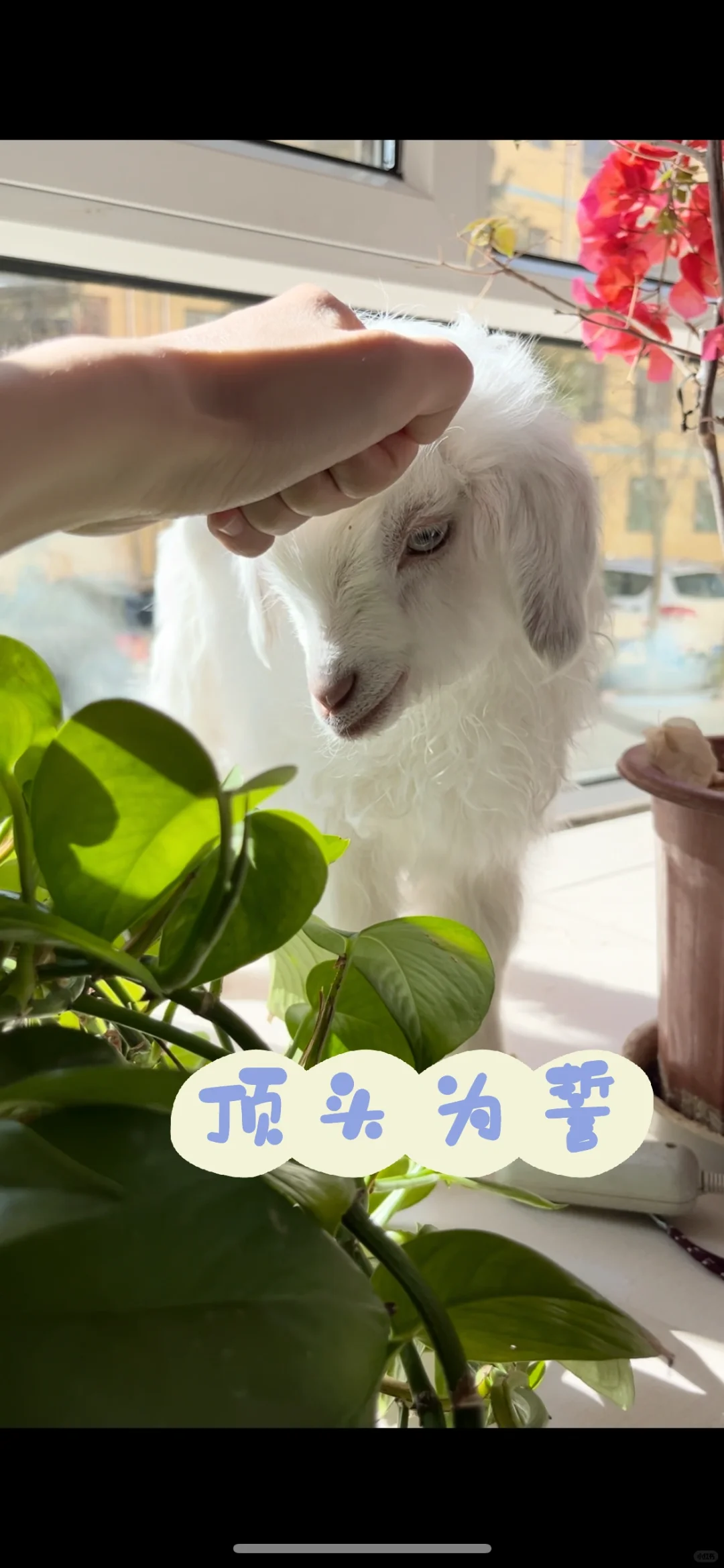 㶥ͷ˾˵Ŷ