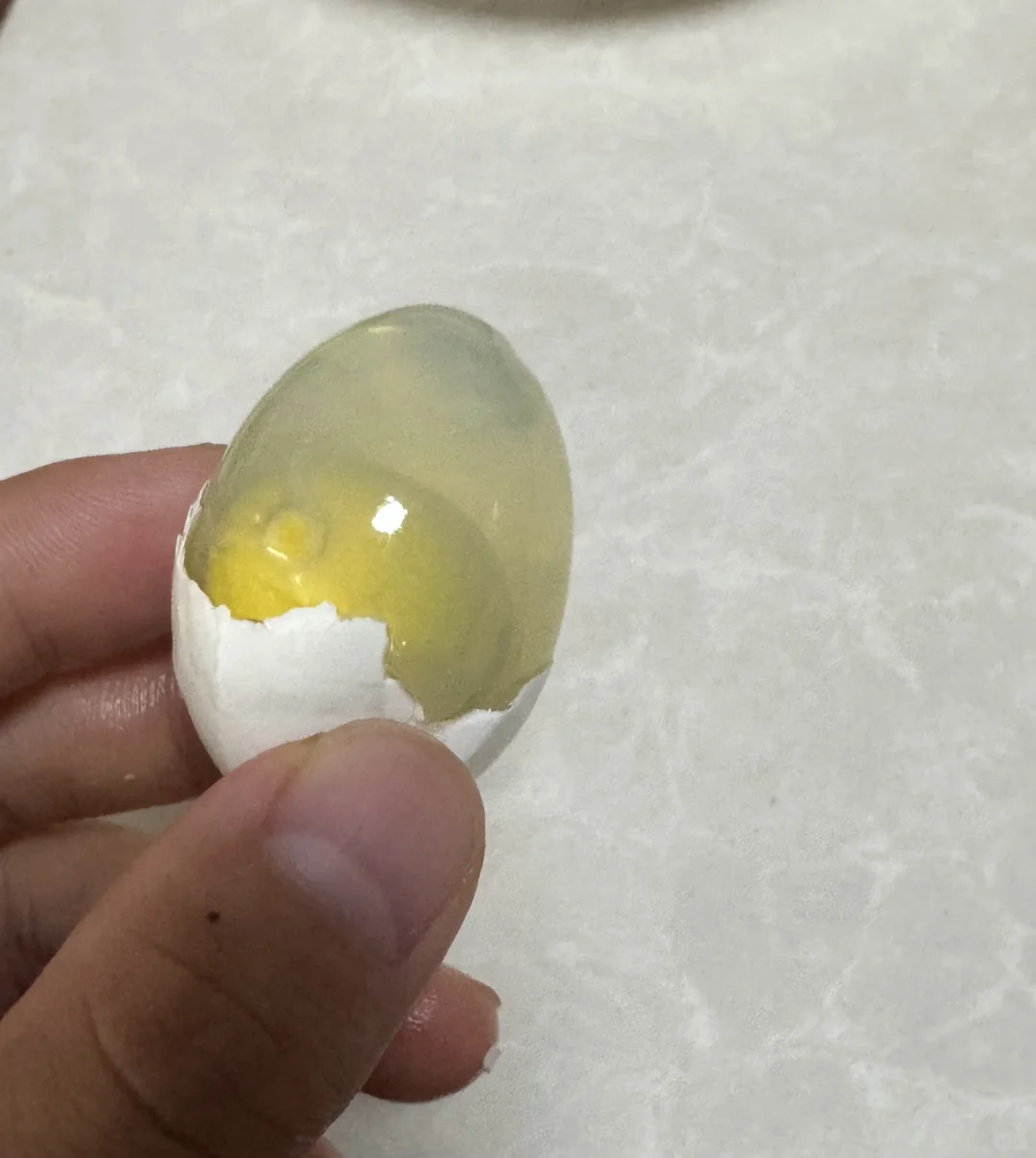 ӵ͸ģ